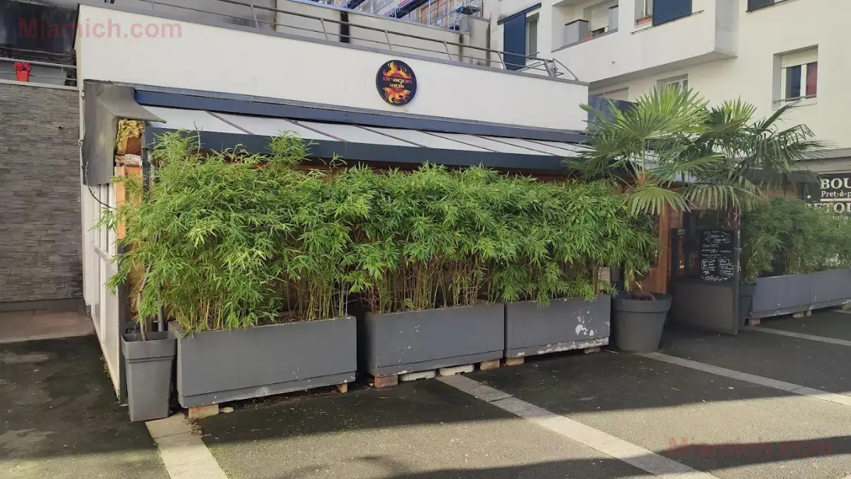 Dragon Wok à Paris 75019 Japonais, Végétarien halal