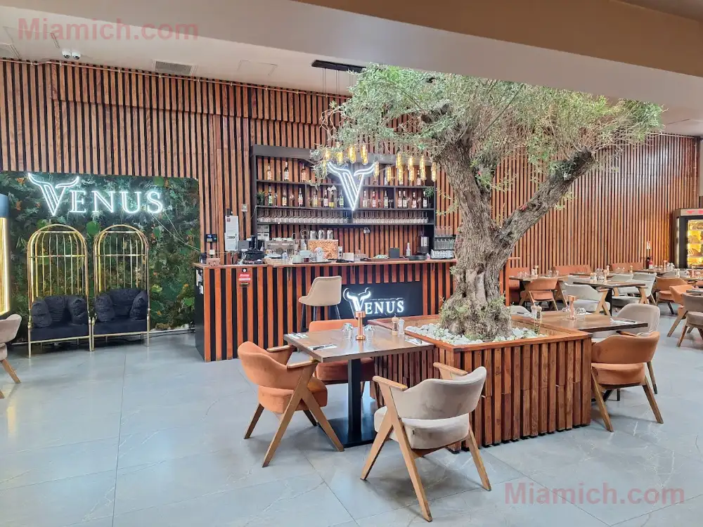 Venus Steakhouse à Les Pavillons-sous-Bois 93320 - Turc - photo 3 - Miamich